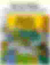 A magnifying glass on top of a map of Ukraine, the cover for this ebook collection.