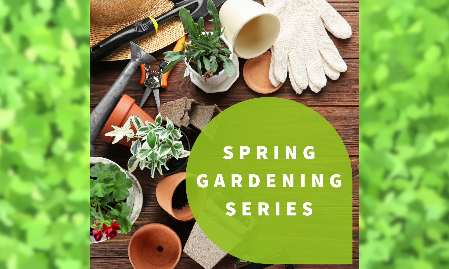 Gardening supplies arranged on a wooden table, text reads "Spring Gardening Series"